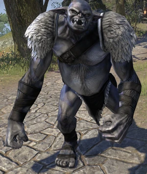 Ogr z gry The Elder Scrolls Online