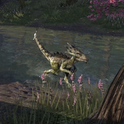 Кланфир (Online)