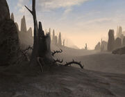 Ashlands Screenshot