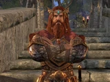 Jorunn the Skald-King