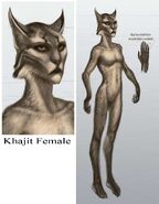 Concept art of a female Khajiit