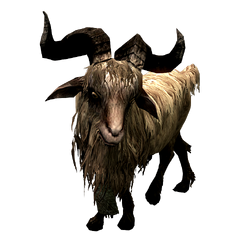 Коза Гледа Gleda the Goat 002