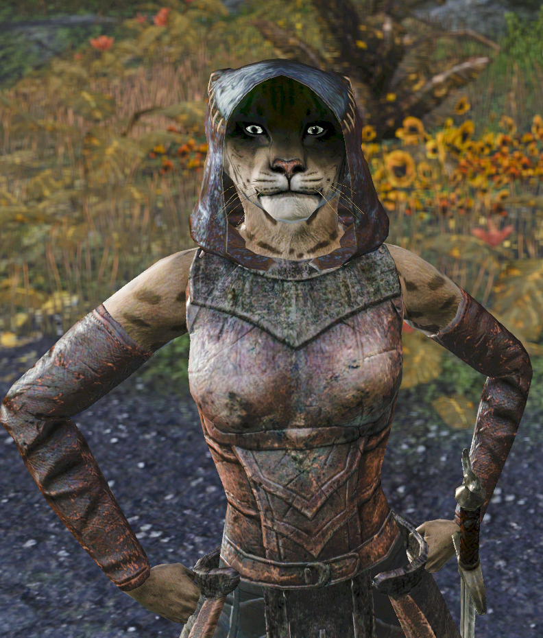 The 2022 ESO Community Fashion Khajiitwalk - The Elder Scrolls Online