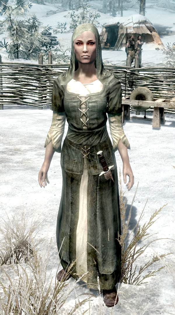 カテゴリ Skyrim キャラクター The Elder Scrolls Wiki Fandom