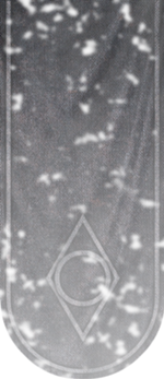 Bandera del Gremio de Ladrones Skyrim