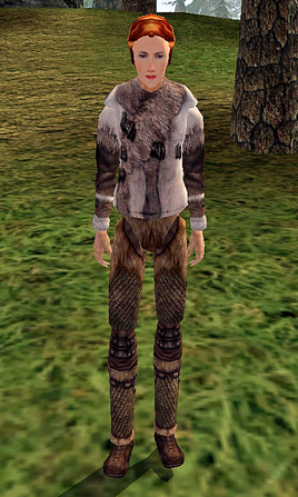 Fryse Hag