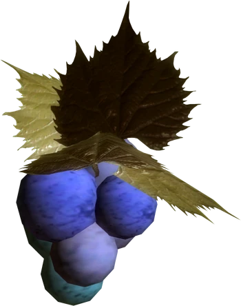 Jazbay Grapes (Skyrim) | Elder Scrolls | Fandom