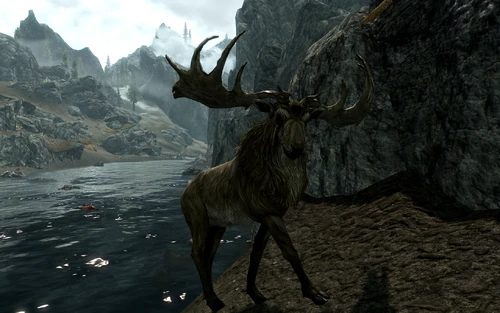 Ещё один из видов скайримских оленей