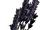 Lavendel