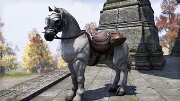 Imperial White Horse