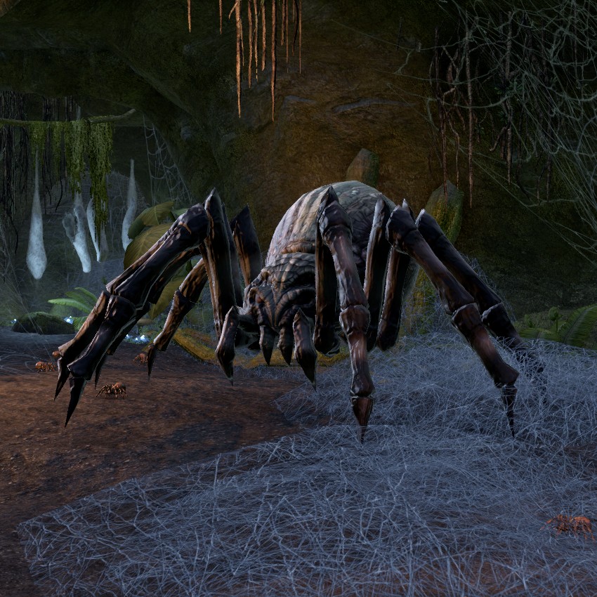 Spider Queen Elder Scrolls Fandom