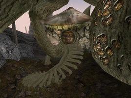 Tel Uvirith Omavel's House