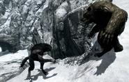 werewolf vs werebear