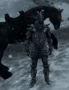 Dragonscale armor in the snow.