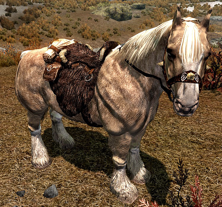 increase horse speed creation kit skyrim