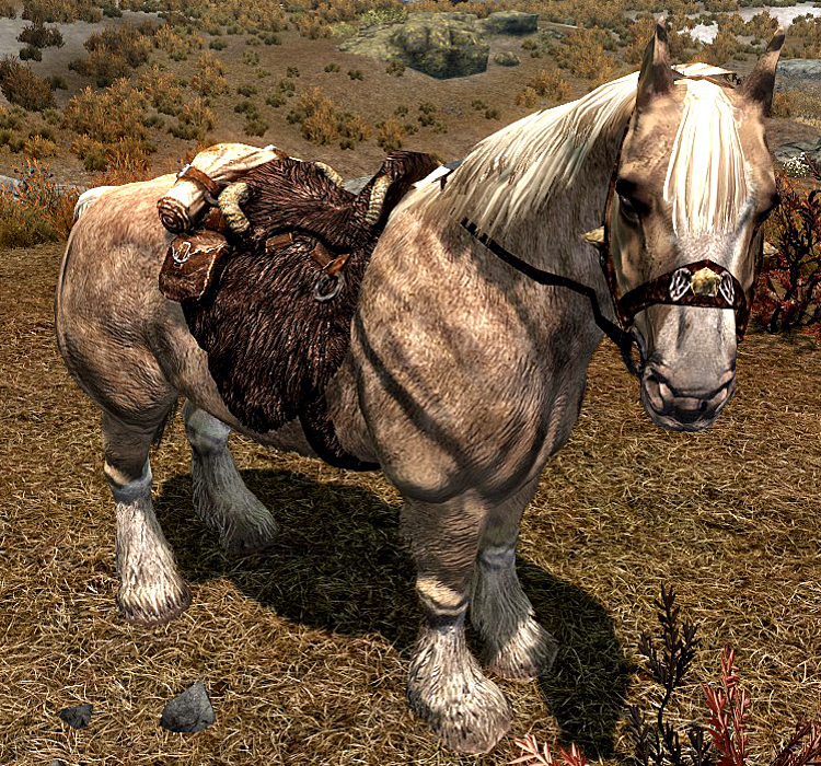 Skyrim - Como encontrar o seu cavalo - Critical Hits