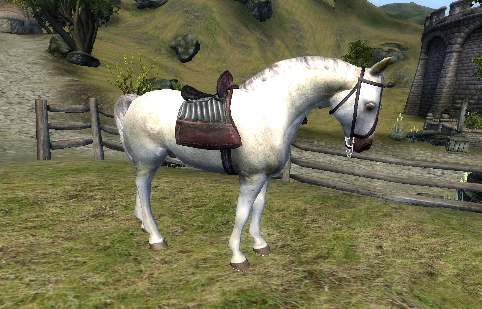 Cavalo, The Elder Scrolls Wiki