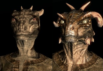 skyrim races