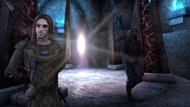 Verandis addressing the Vestige