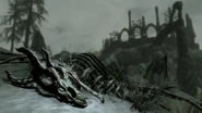 DragonSkeleton Dragonborn Screen.jpg (444 kio)