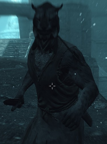 Falmer Servant Khajiit