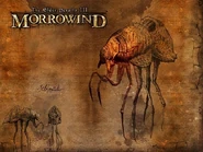 Силт-страйдер на загрузочном экране, The Elder Scrolls III: Morrowind