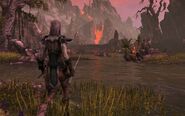 A Dunmer in Stonefalls.