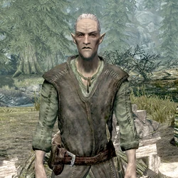 Bosmer Skyrim