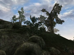 Аскадианские Острова