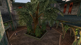 Mournhold, Royal Palace - Morrowind