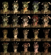 463px-ArgonianCompilation-620x