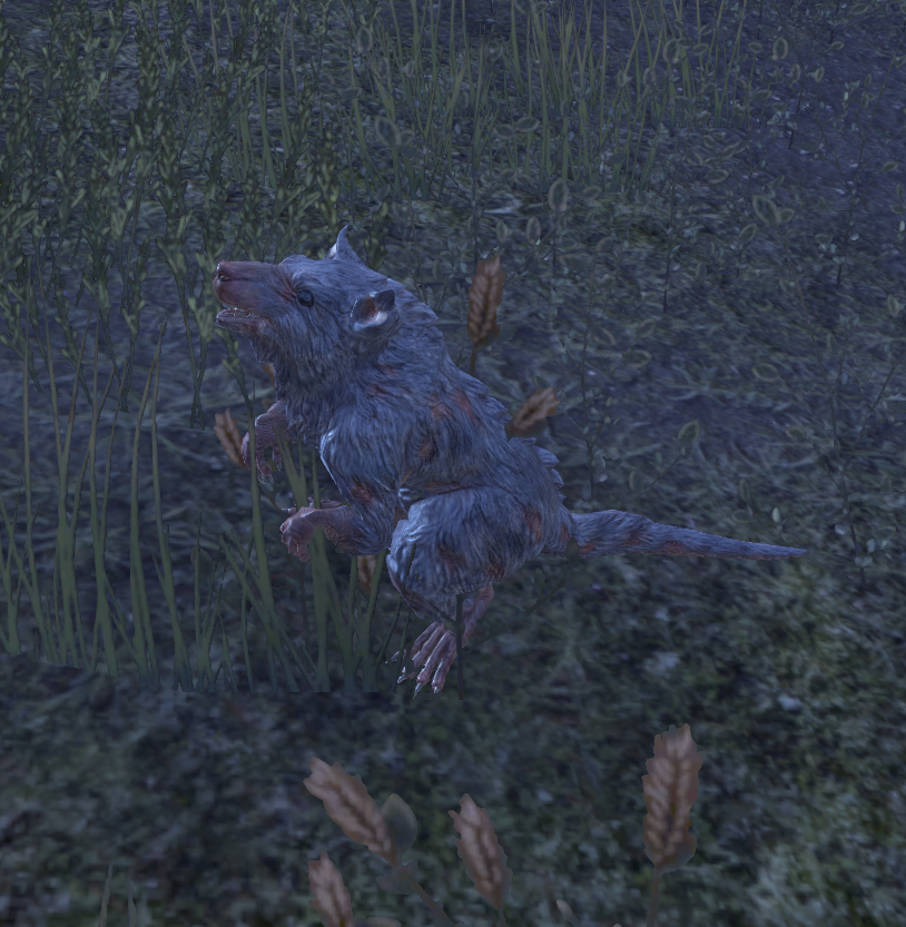 Bog Rat Elder Scrolls Fandom