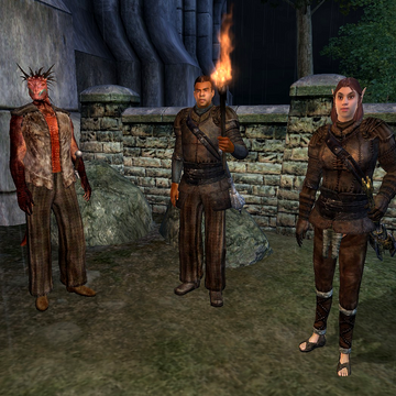 Finding The Thieves Guild Elder Scrolls Fandom