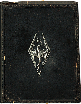 HighPolySkyrimBook