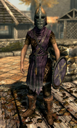 A female Riften guard.