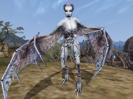 Wingedtwilightwiki