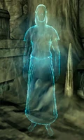 Призрак Матери Ночи, The Elder Scrolls IV: Oblivion
