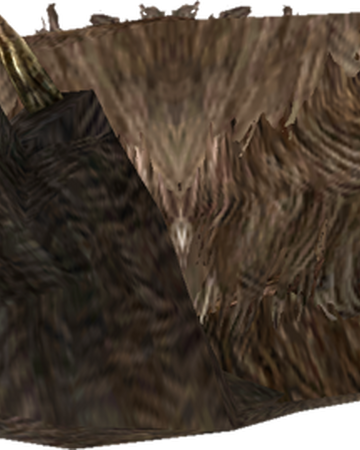 Bear Pelt Skyrim Elder Scrolls Fandom