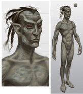 Dark Elf male concept art