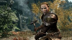 Dawnguard-warrior.jpg