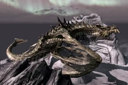 Paarthurnax w dzień