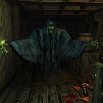 Wraith Oblivion Elder Scrolls Fandom This page may require cleanup to meet basic quality standards. wraith oblivion elder scrolls fandom