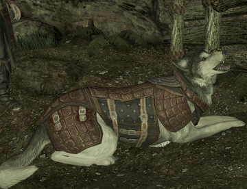 Bran for dogs shop
