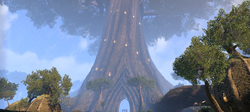 Elden Root Tree (Online)