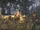 Slaver Camp