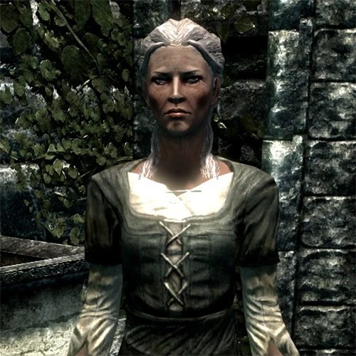 алексия вичи. виттория вичи скайрим арт. виттория вичи по дороге в солитьюд. платье victoria vicci. блузка vittoria vicci зеленая.