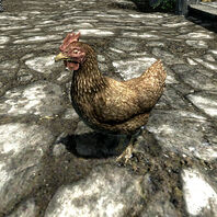 600px-SR-creature-Chicken