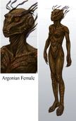 Argonian Female