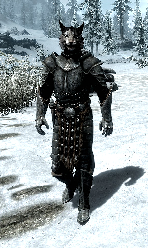 skyrim follower equip armor
