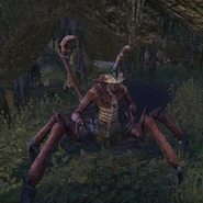 Lądowy Dreugh z gry The Elder Scrolls Online